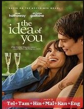 The Idea of You